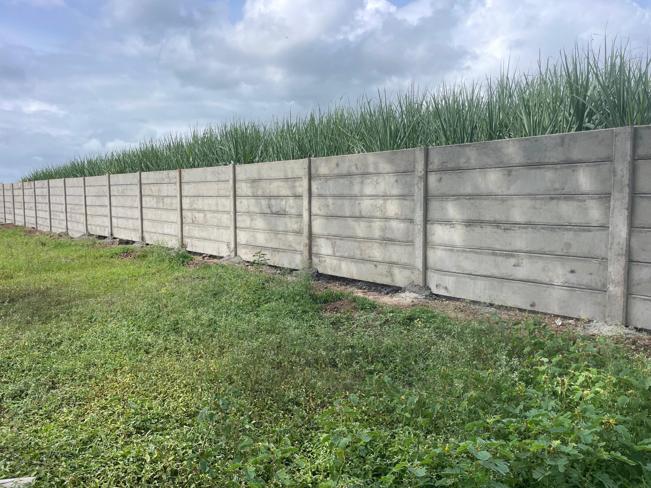 img 20251109 wa0010.jpg