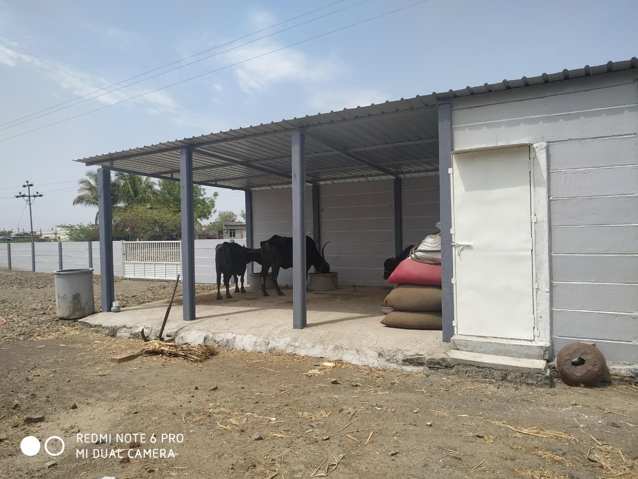 whatsapp image 2026 01 25 at 10.34.09 am